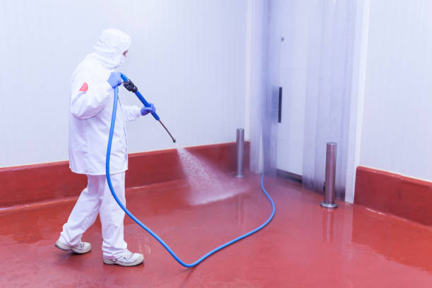 Best Post-Construction Pressure Washing  in Port Byron, NY
